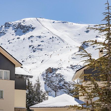 Bibo Suites Sierra Nevada Ngoại thất bức ảnh